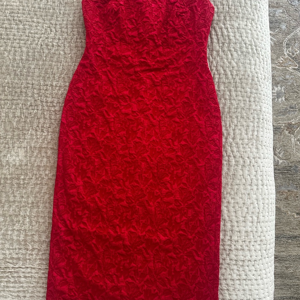 Calvin Klein Sleeveless Textured Scarlet Dress